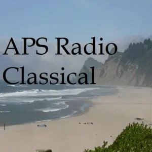 APS Radio Klassisch Radio