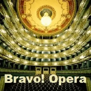 Radio Bravo! Oper