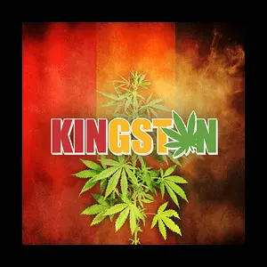 DASH Kingston Radio