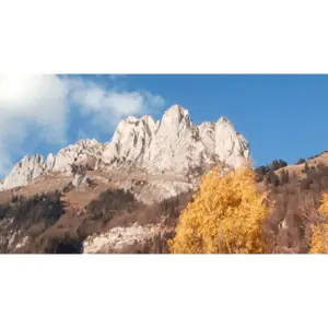 Jukebox: Kreuzberg Swiss