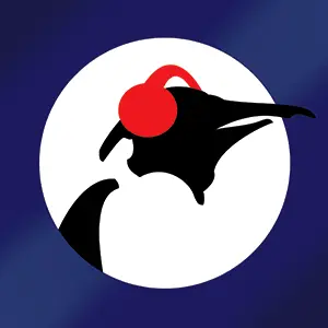Pinguin Blues Radio