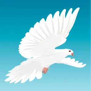 victory4christ radio Radio